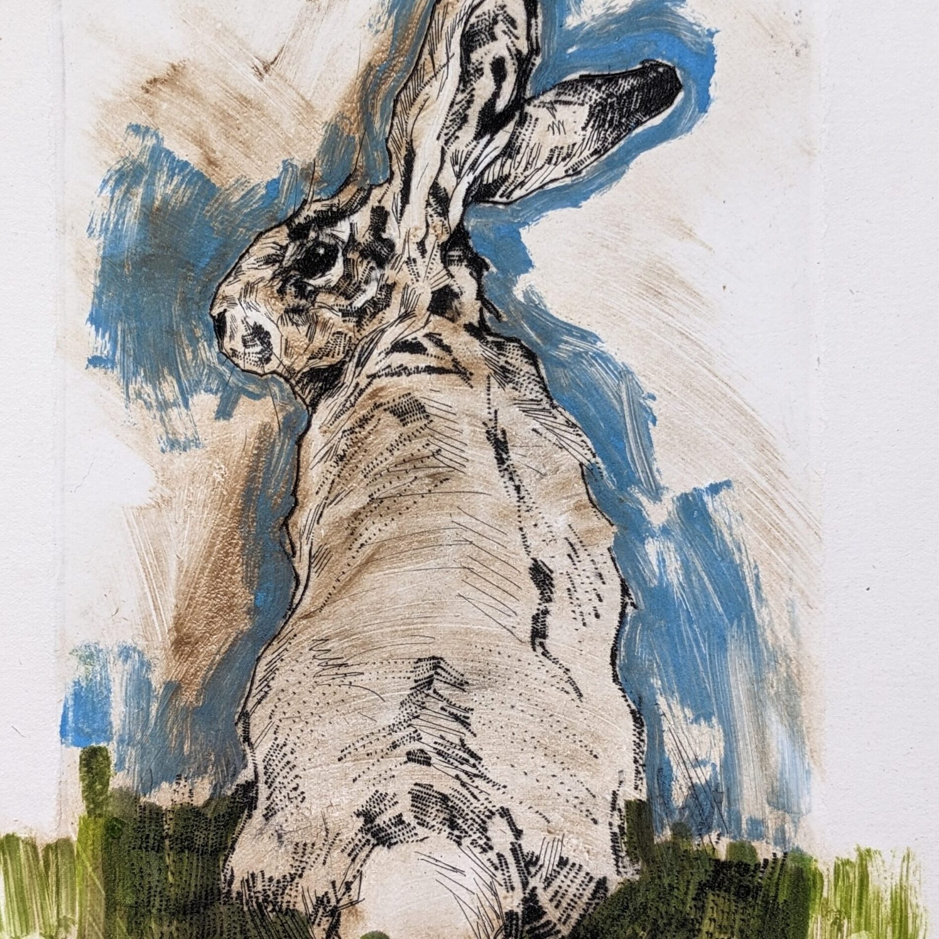 Emerson Mayes – Summer Hare II, 24x21cm, monoty pe and drypoint (variable edition of 6) £250