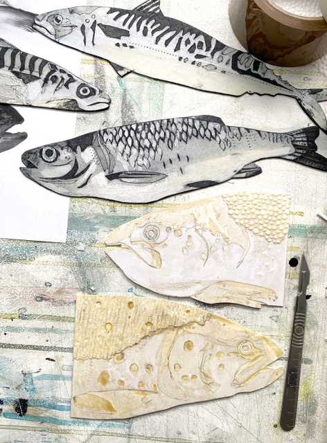 MCCABE 7 fishes MAKING